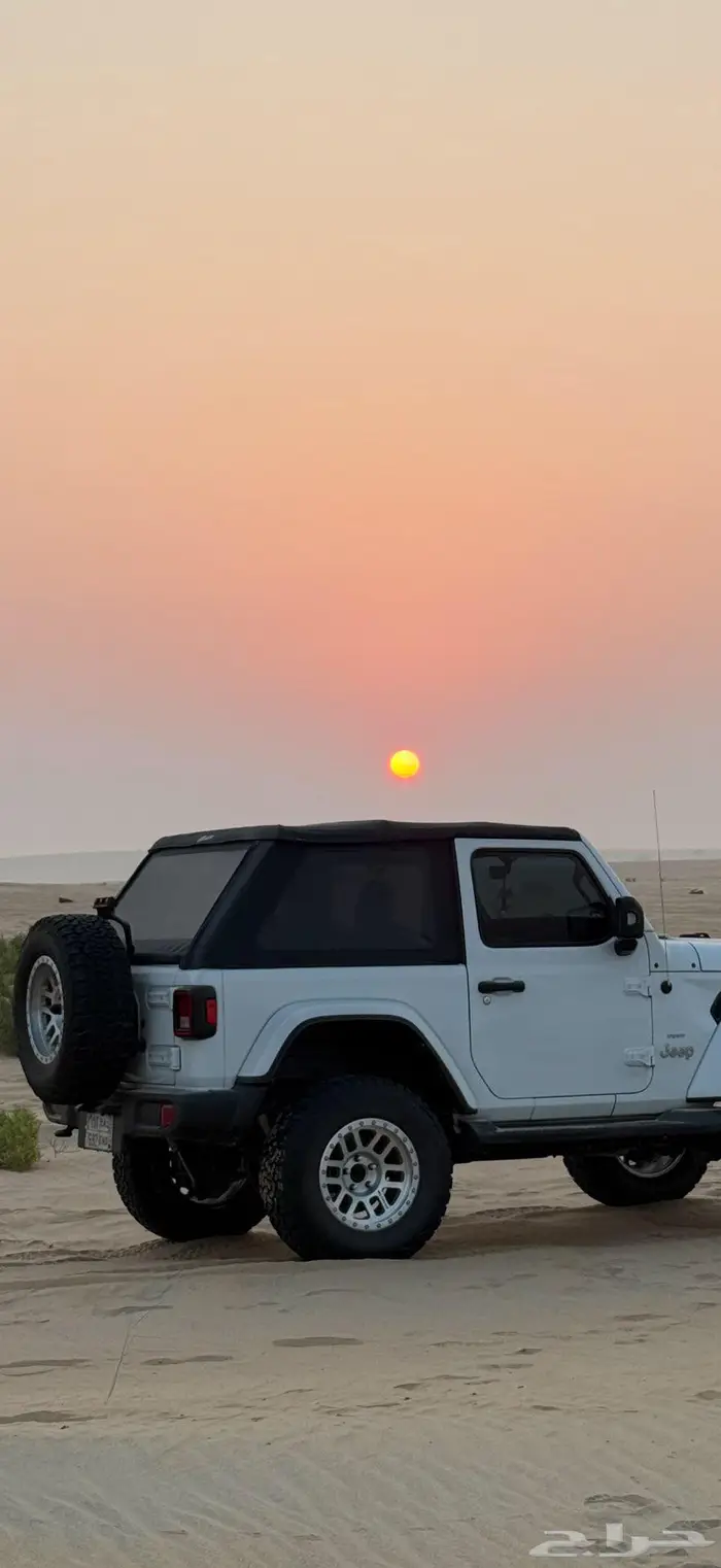 سوفت توب شراع رانجلر بابين 2020 2