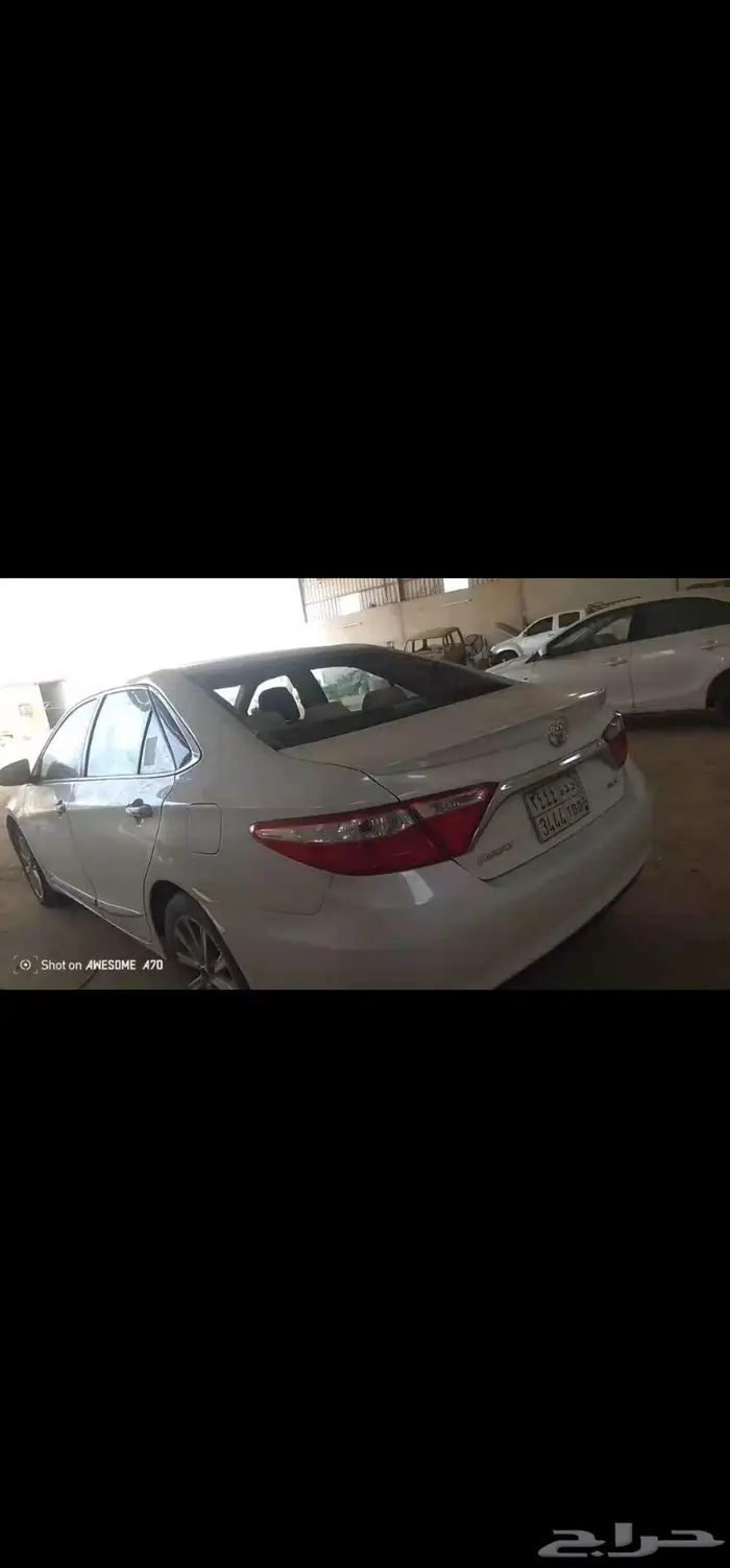 سمكرة وبويا 14