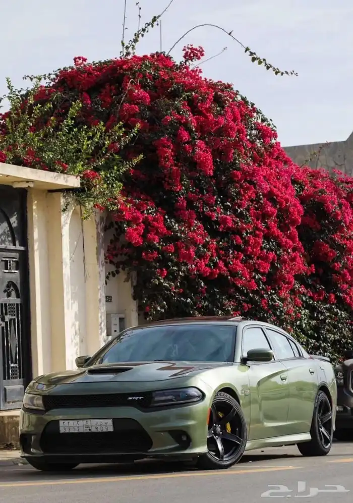 تشارجر 2019 RT 1