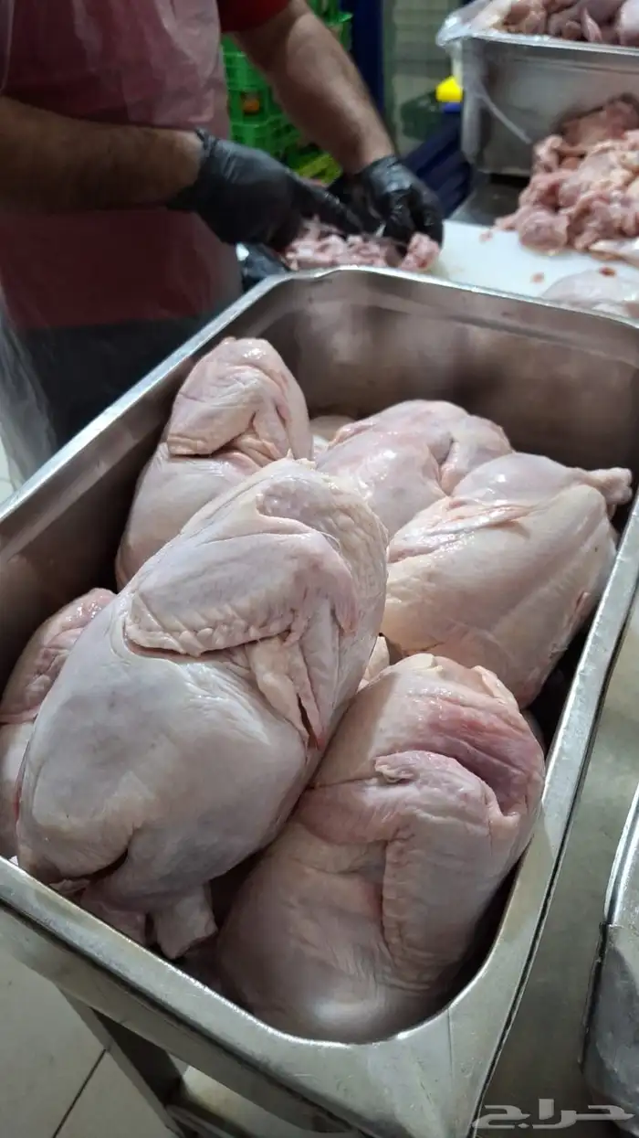 دجاج شاورما اللهم بارك 0