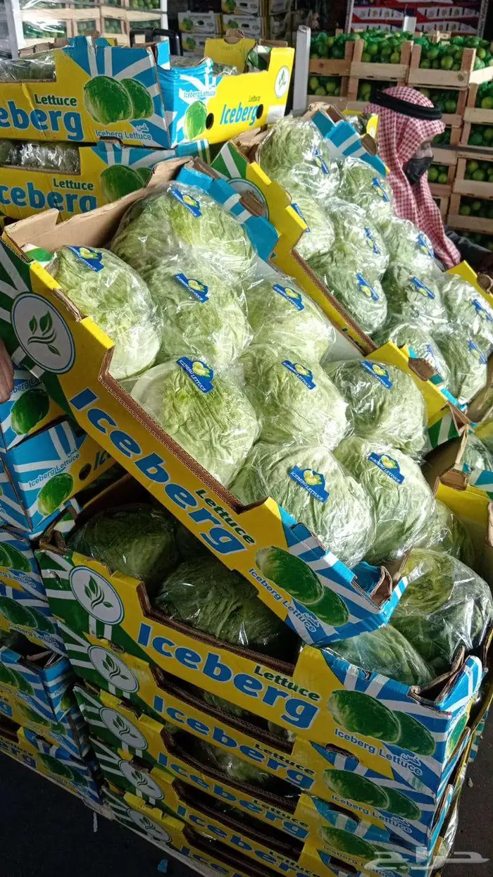 براد خس مستورد جاي من مصر 0