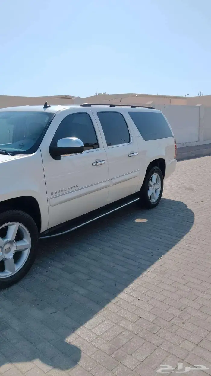 سوبرمان 2008 6