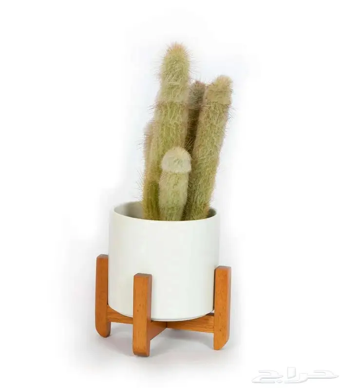 مراكن زراعة فاخرة لتنسيق الحدائق والمنزل 16