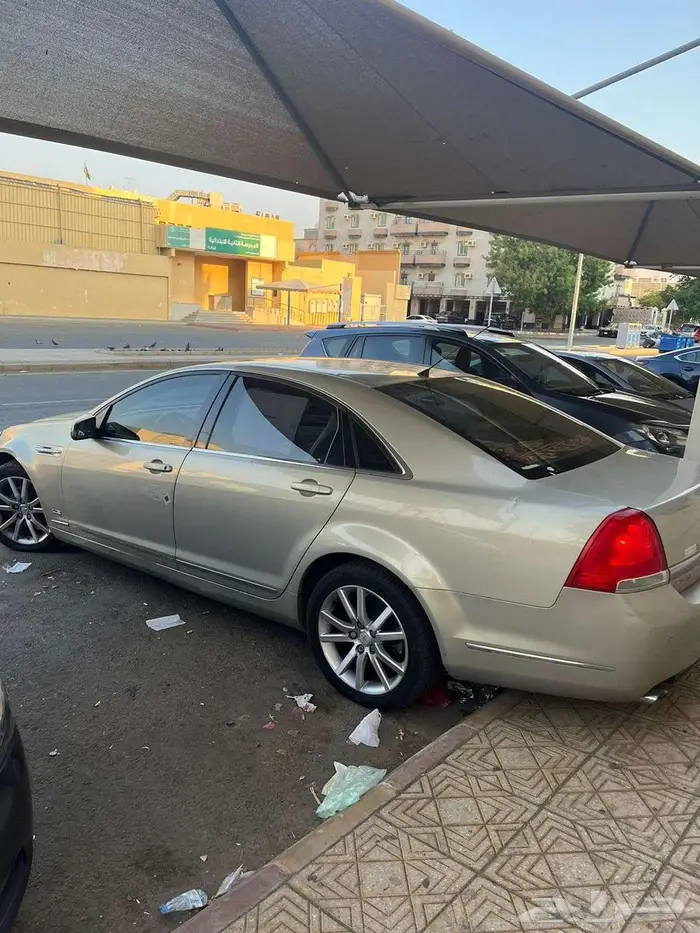 كابريس رويال بودي بلد 3