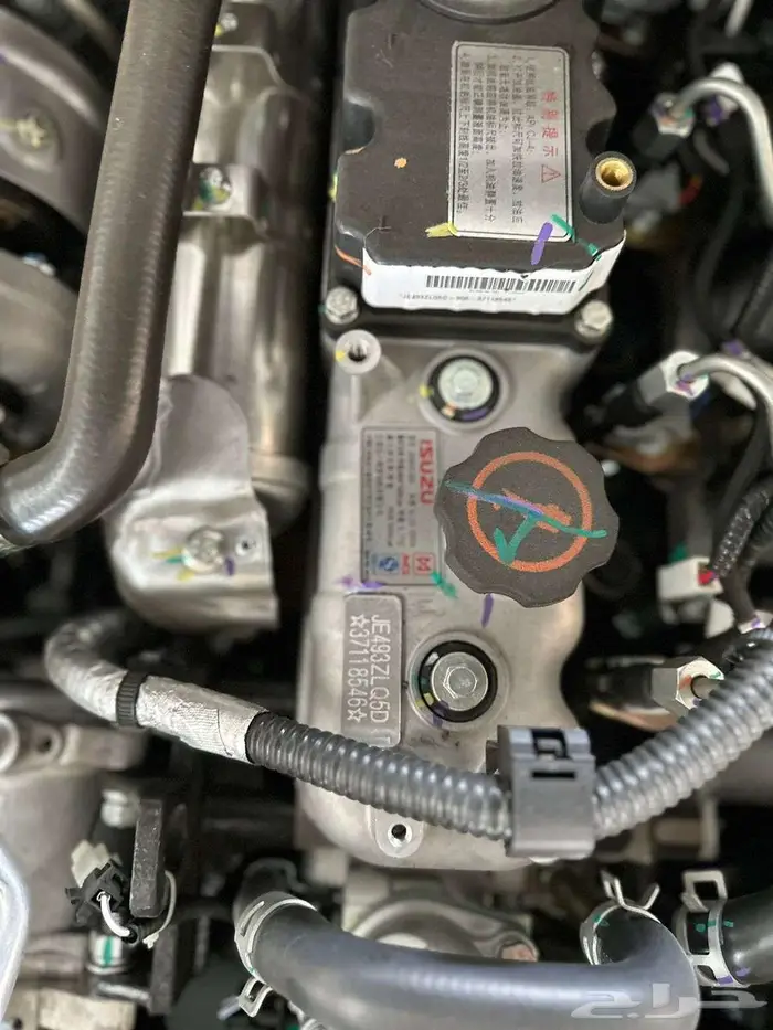 زد اكس مجيد 2025 14