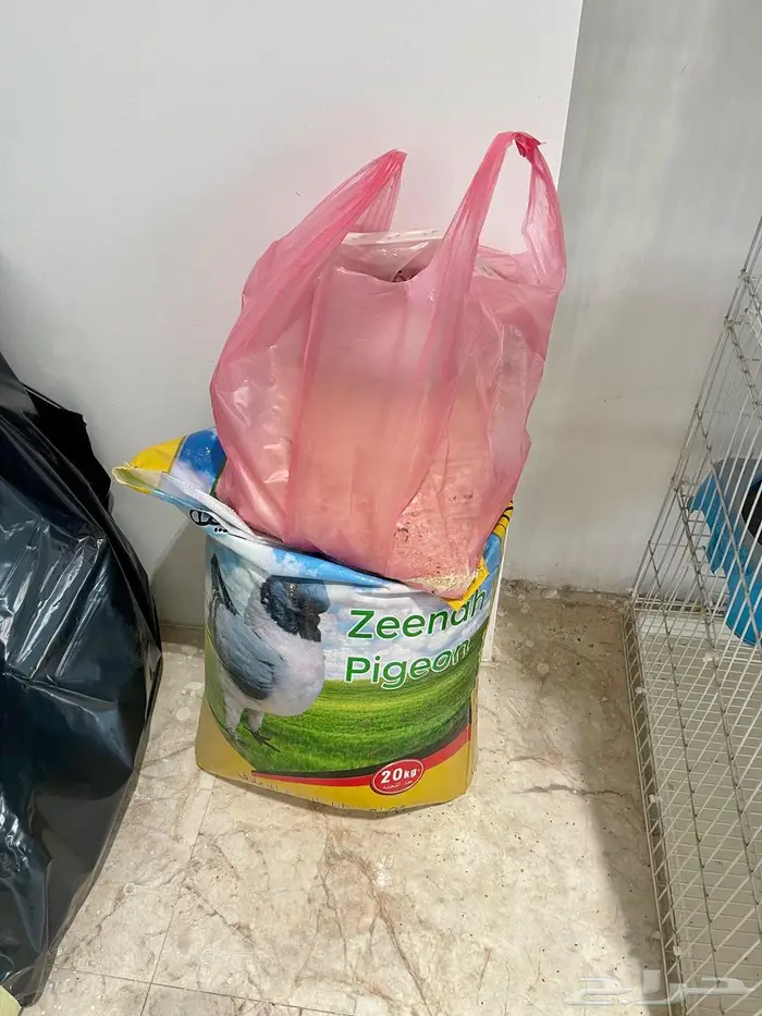 محكر حمام مجلفن 2