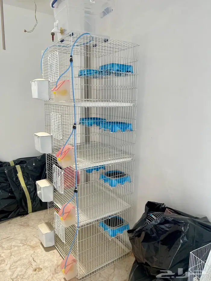 محكر حمام مجلفن 1