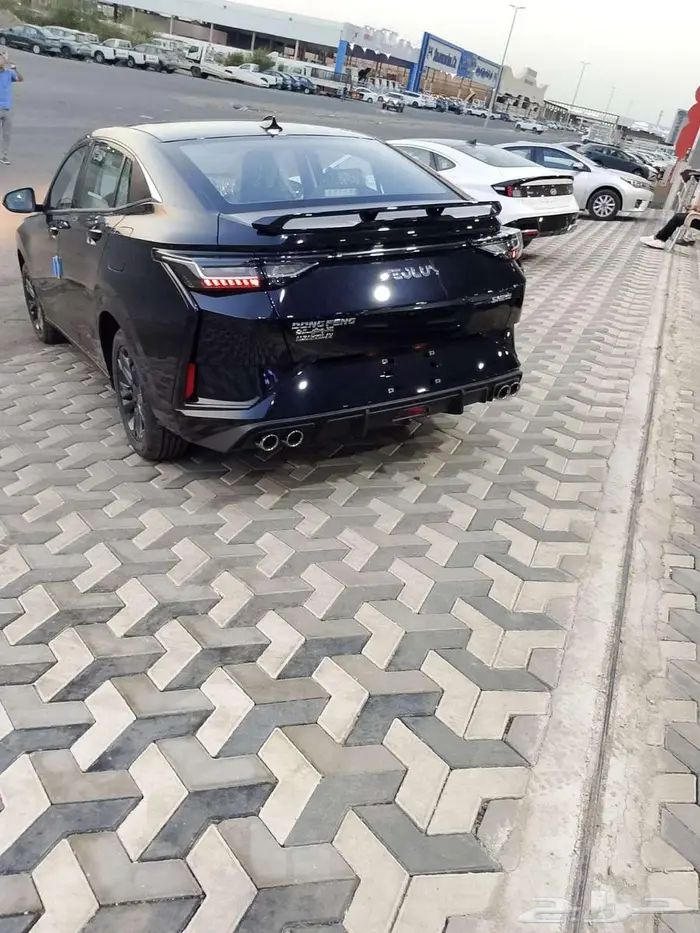 دونج فينج شاين 2026 6