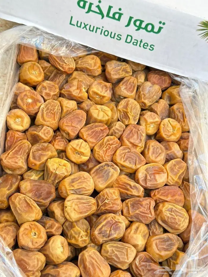 سكري القصيم مفتل 0