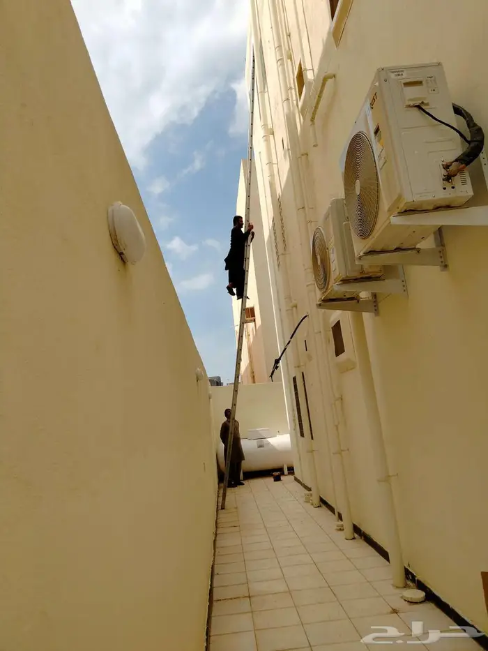 اشواك حمام بالمدينة 3