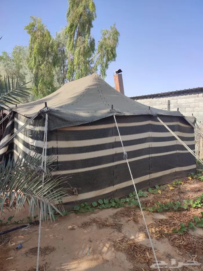 بيت شعر 4 5 عامودين 0