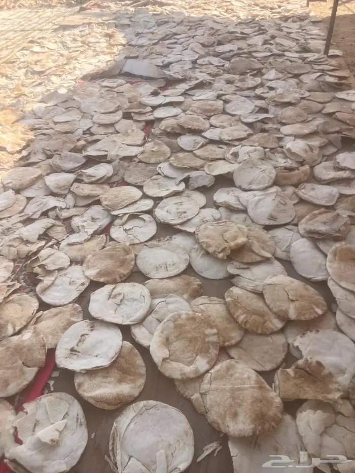 خبز ناشف مفرود 2