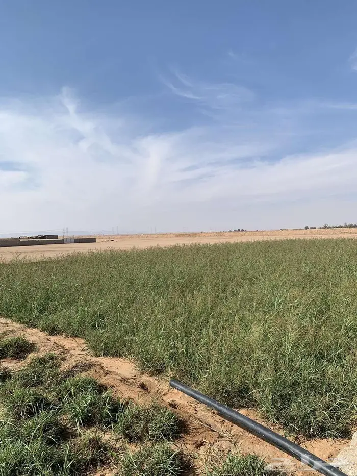 بلو بنك للبيع 1