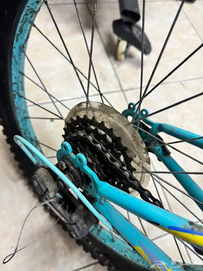 سكوترين و سيكل رياضي وسياكل أخرى مافيها شي 3