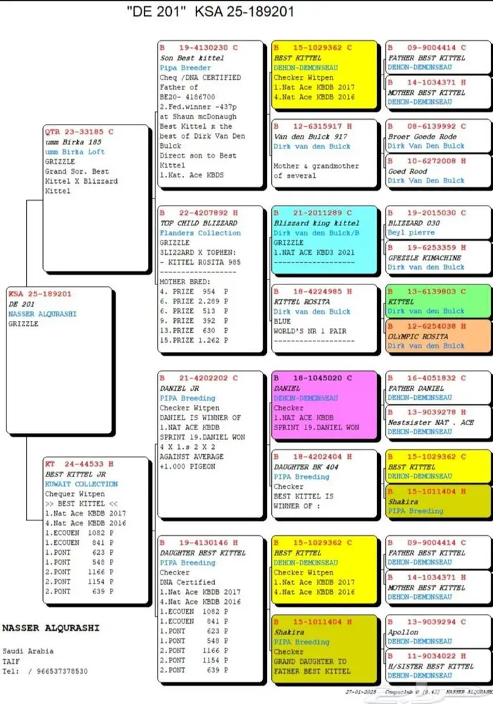 زوج زاجل سباق تم البيع 2