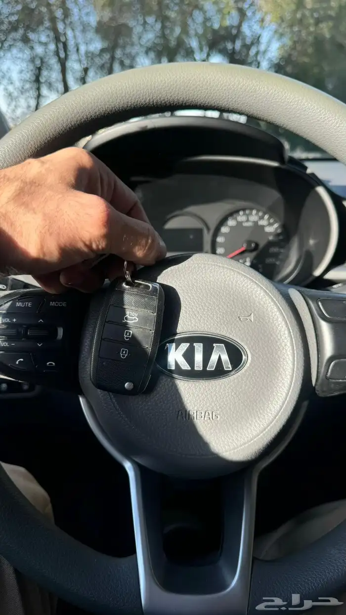 بيكانتو 2020 11