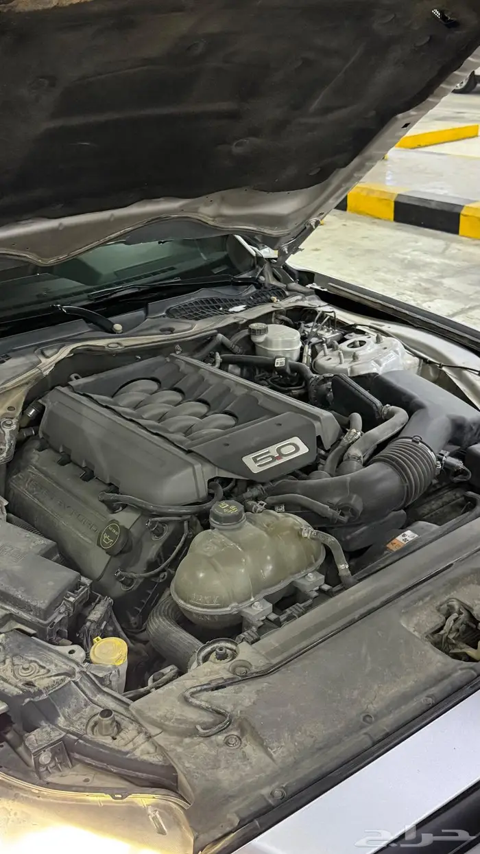 فورد موستنق بلاك اديشن 2017 7