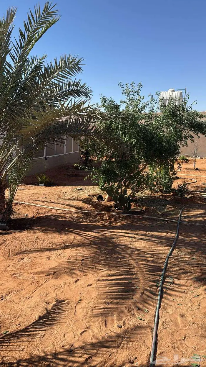 للايجاراستراحة العزاب مؤثثة بسعر150حي ديراب عرض رقم H1456 6