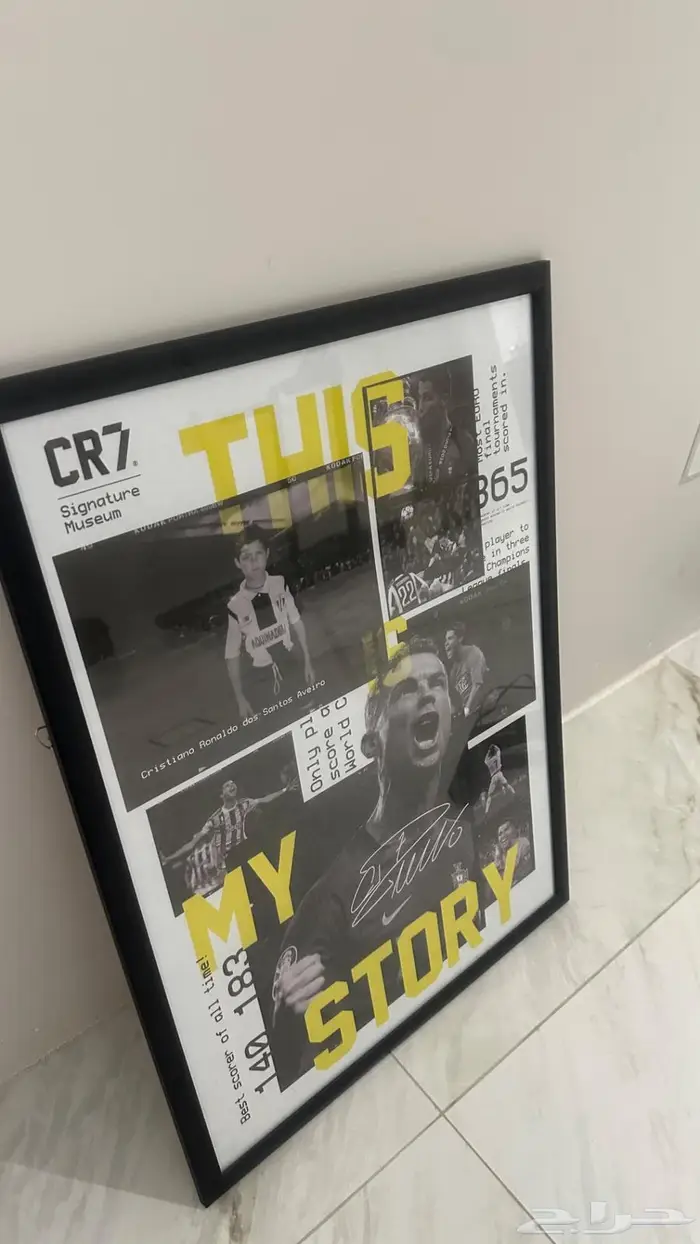 لوحة رونالدو 0
