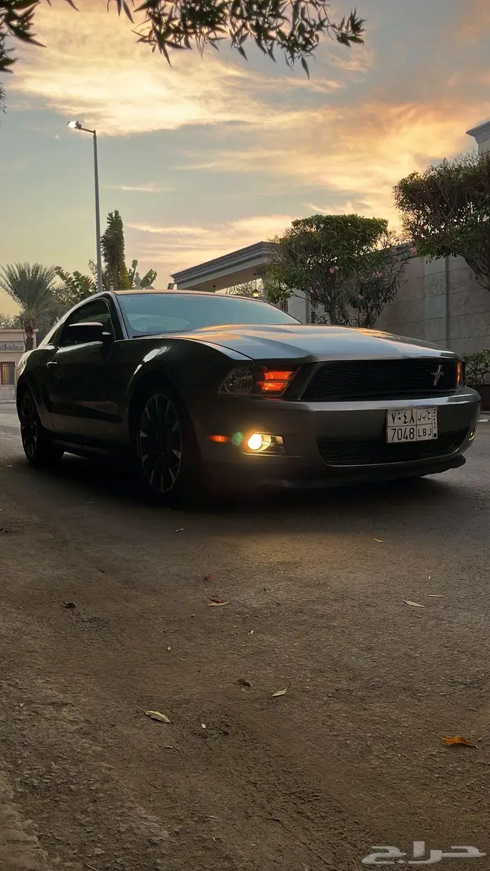 موستنج 2011 2