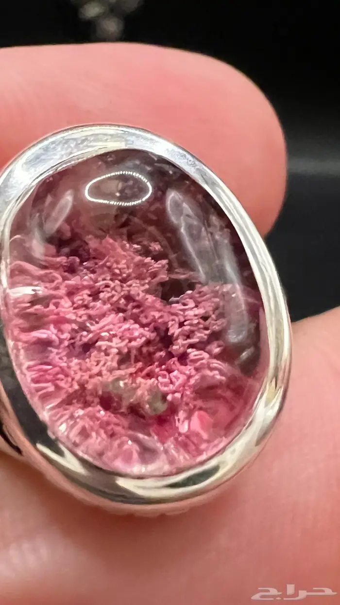 در نهري طبيعي صياغة ملكية 1