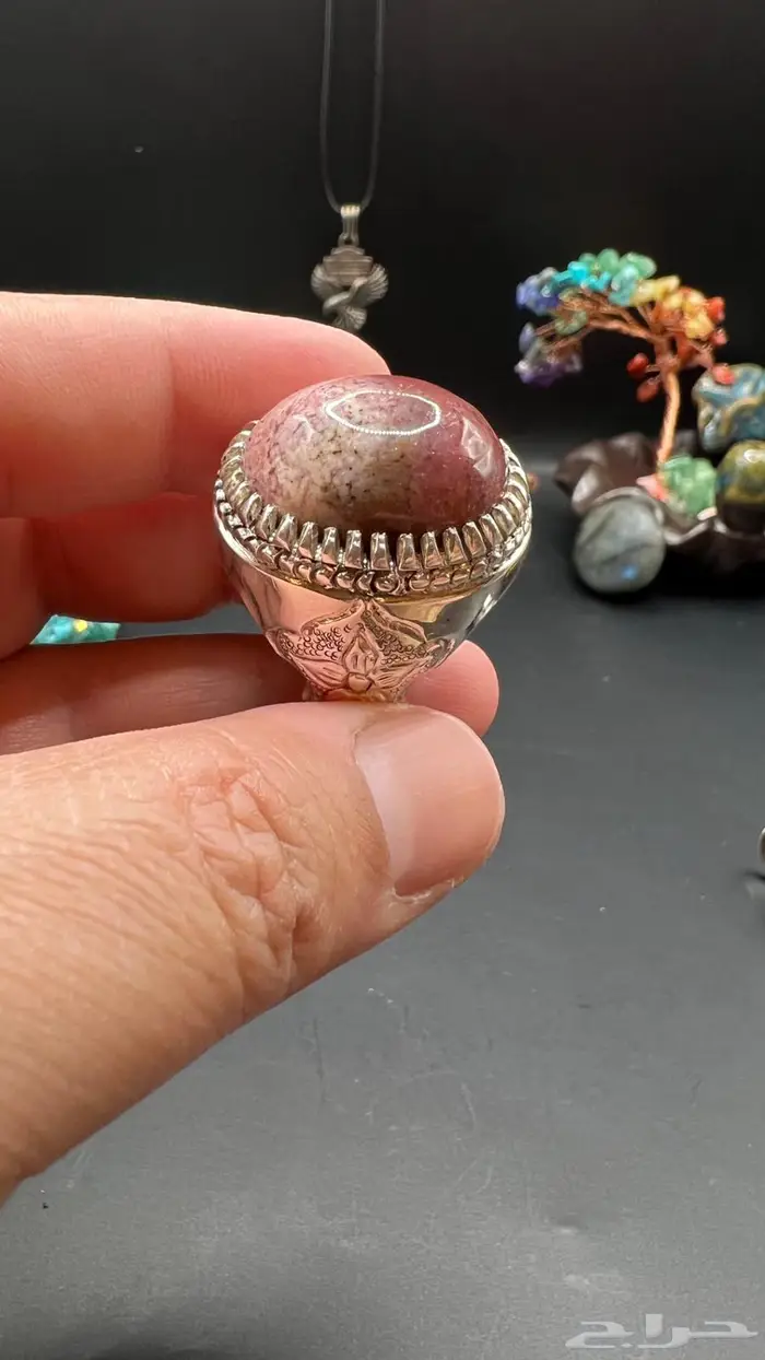 جاسبر راهي 0