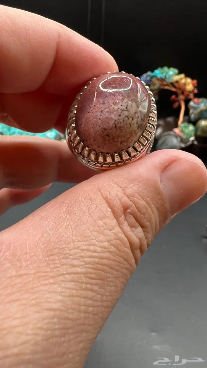 جاسبر راهي 1