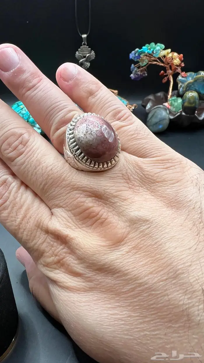 جاسبر راهي 2