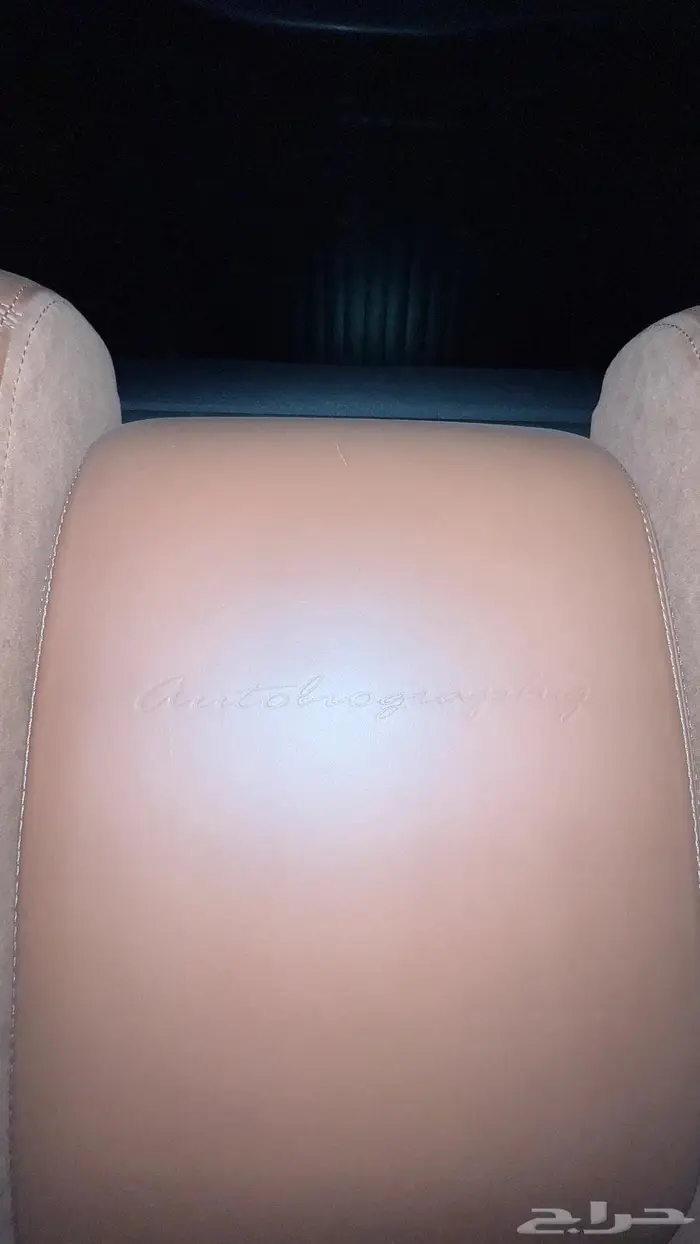 Autobiography 2016 29