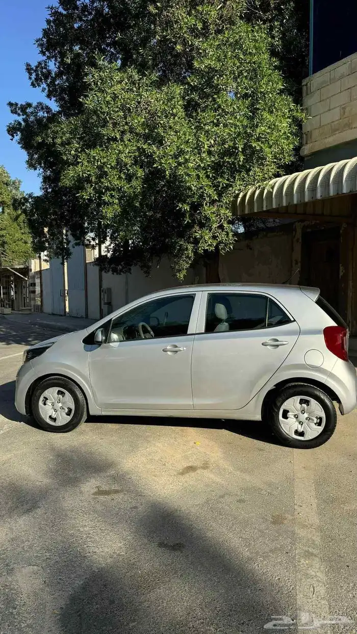 بيكانتو 2020 1