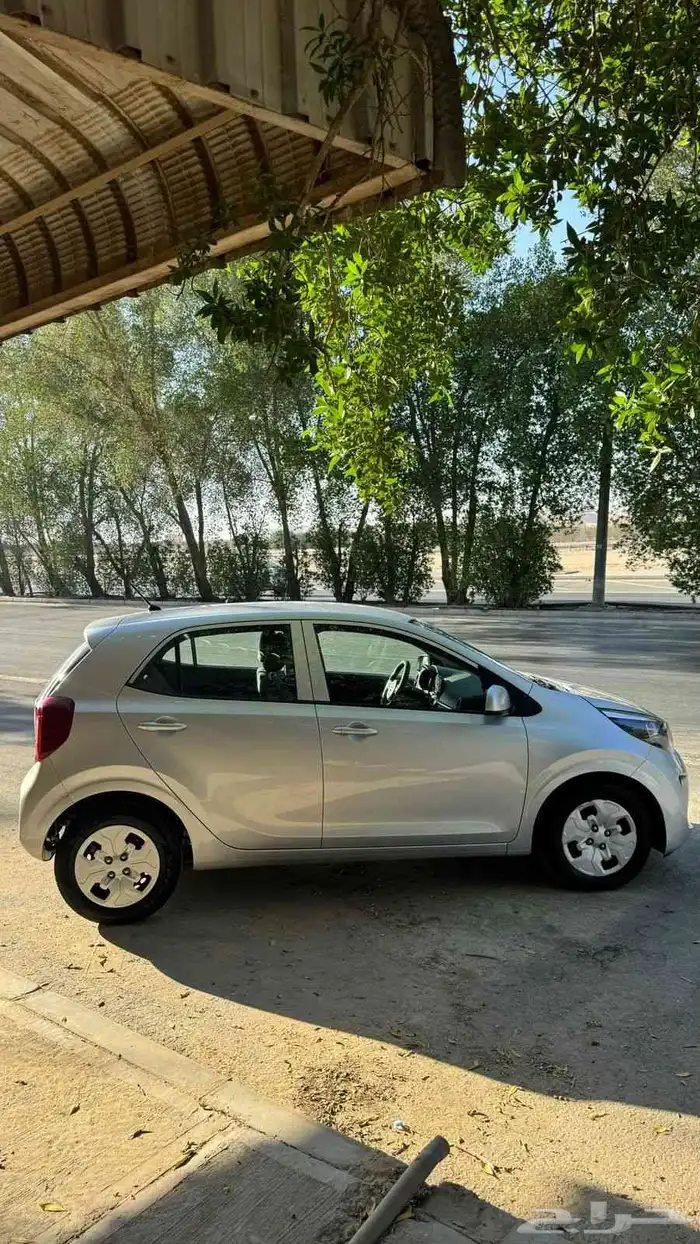 بيكانتو 2020 5