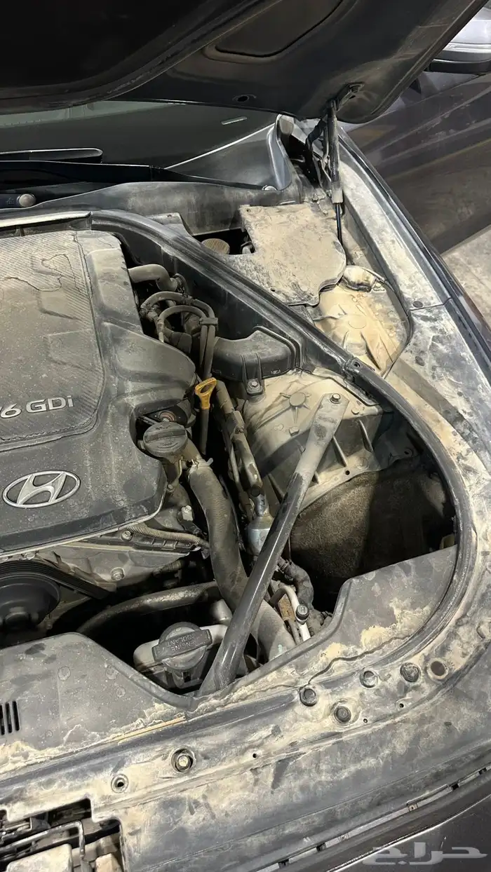 جنسس رويال 6 سلندر 14