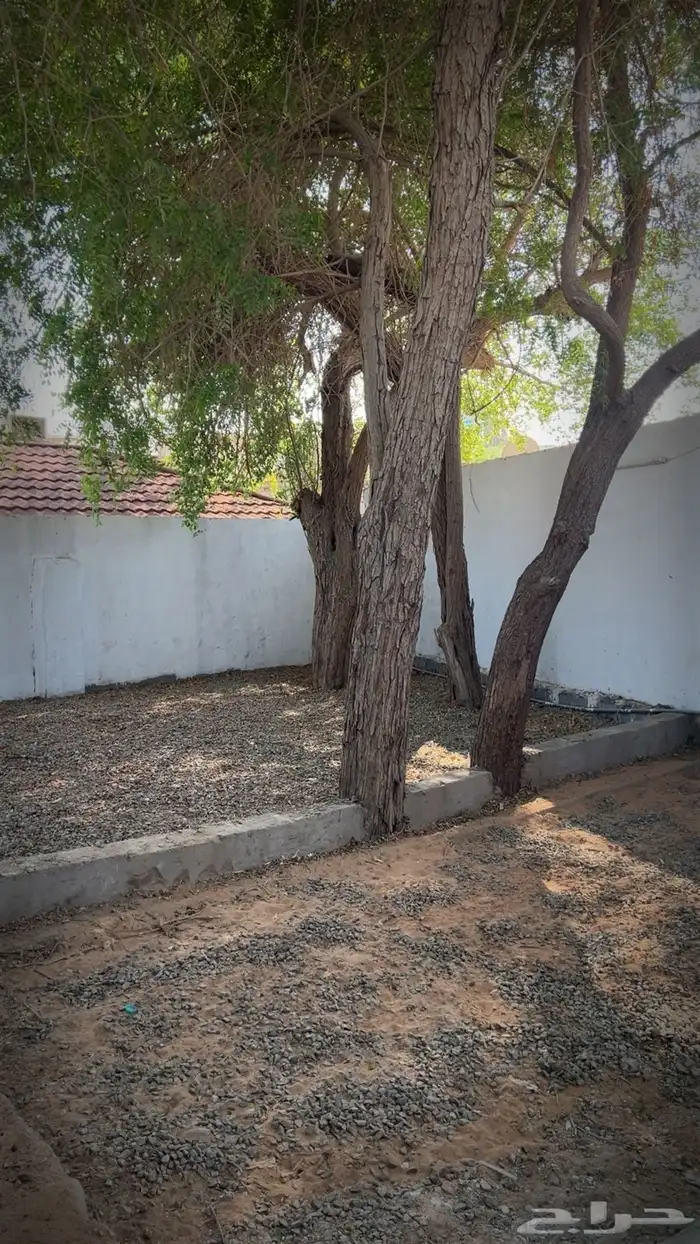 استراحة عزاب للإيجار الشهري 0