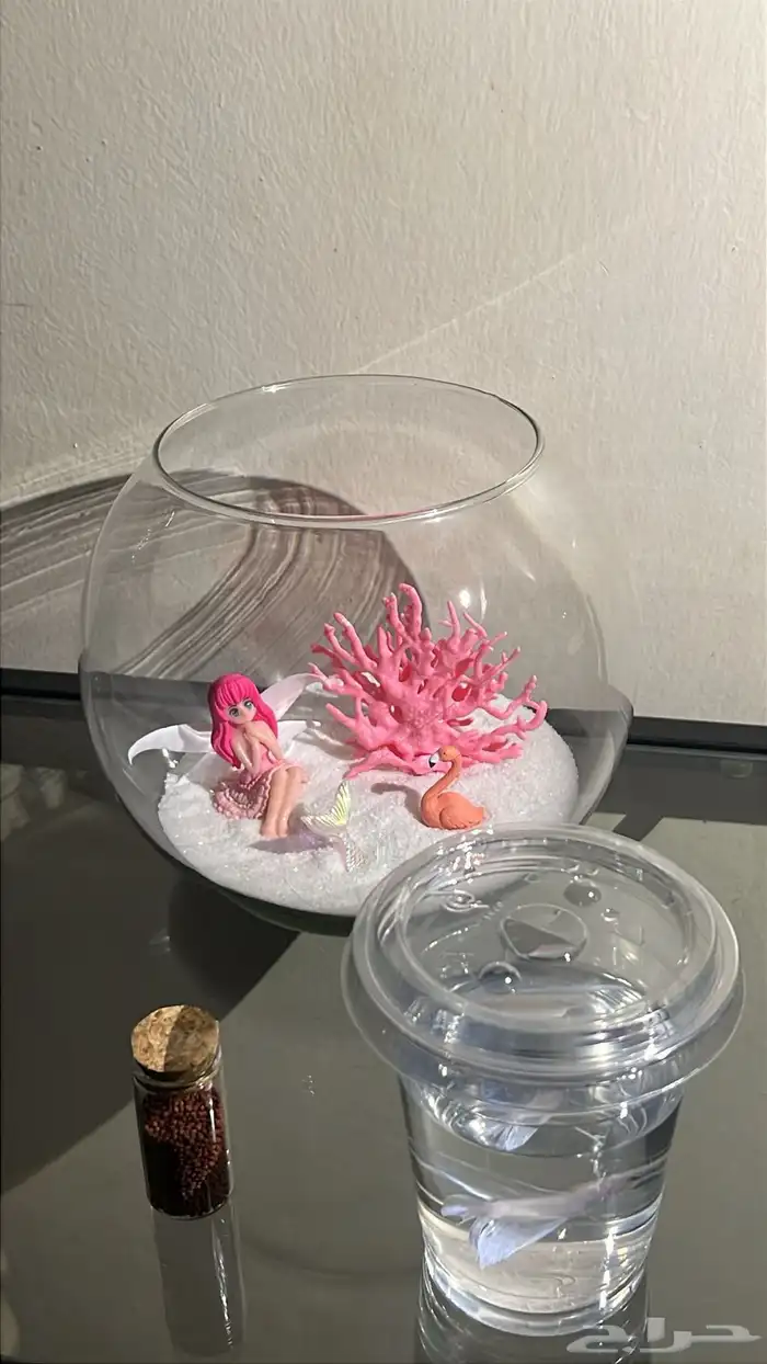 سمك زينه ( فايتر ) 5