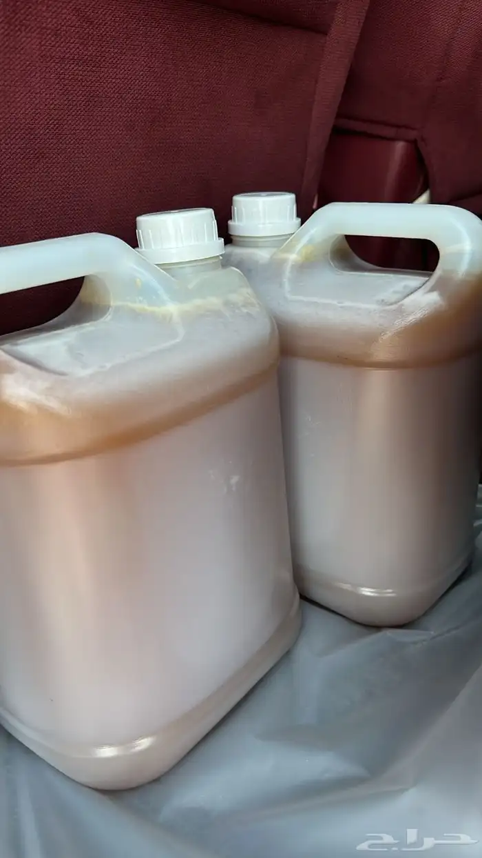 4جراكل عسل سدر بلدي 0