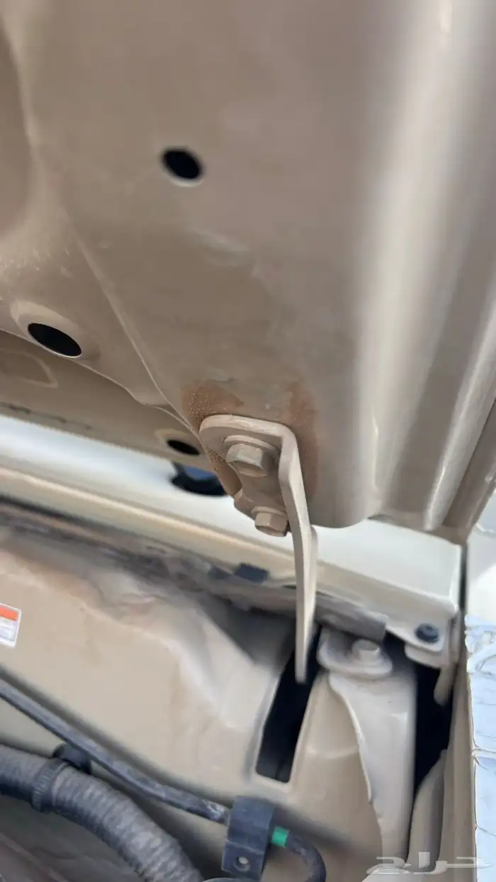 شاص 2020 فل كامل ونش دفلك سعودي سلق (مخزن) 5