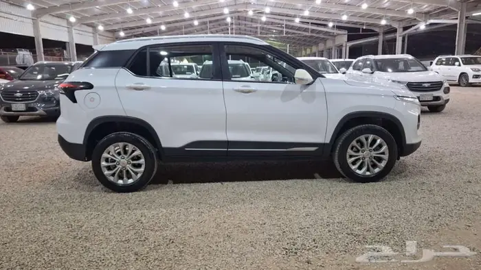 شيفروليه جروف موديل 2023 6