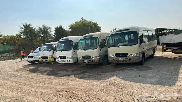 3 Coaster Buses and 1 Dyna Truck are for sale 2