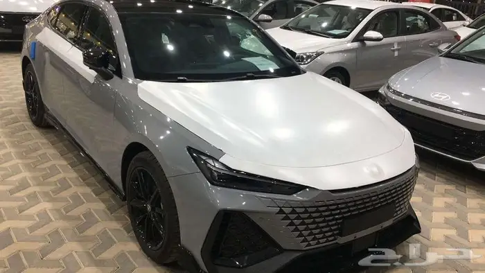 شانجان يونى فى سبورت 2026 0