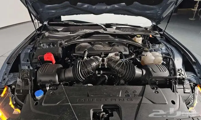 GTموستنج   2024 5.0 5