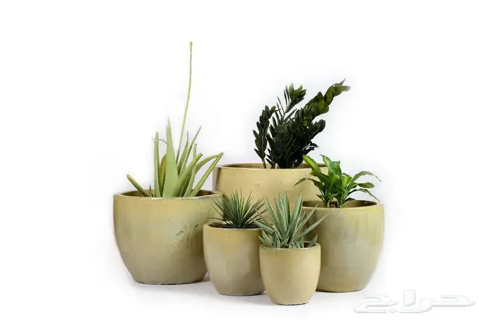 مراكن زراعة فاخرة لتنسيق الحدائق والمنزل 12