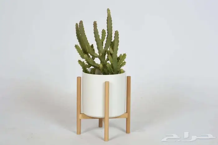 مراكن زراعة فاخرة لتنسيق الحدائق والمنزل 26