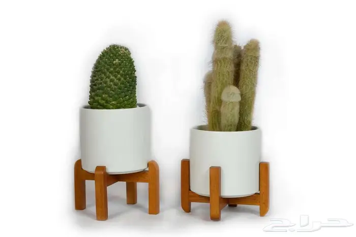 مراكن زراعة فاخرة لتنسيق الحدائق والمنزل 25