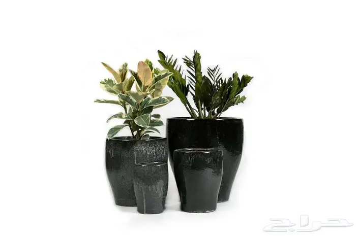 مراكن زراعة فاخرة لتنسيق الحدائق والمنزل 1