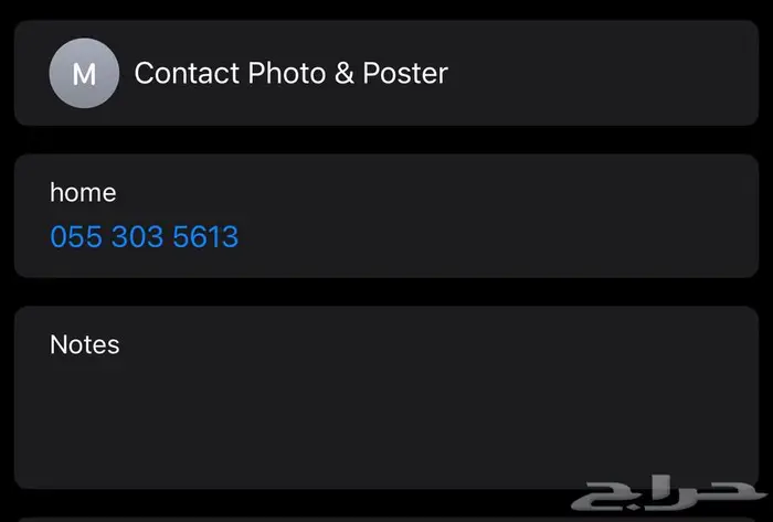 قط شيرازي للبيع كيتن 5