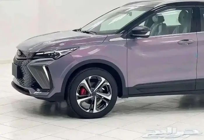 جيلي - كول راي - فل كامل لافندر - 2024 2