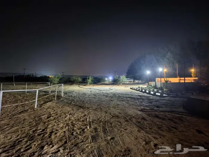 اجار غرف ايواء خيل بالغولاء 1