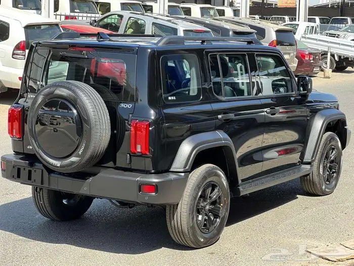 تانك 300فل كامل موديل 2025 عروض القيادة للسيارات 6