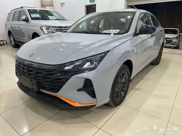 دونج فينج شاين 2026 18