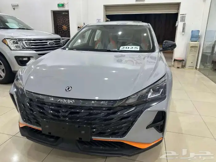 دونج فينج شاين 2026 16